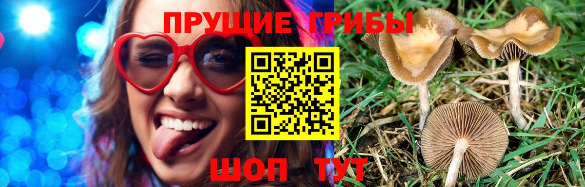 Нурлат  Галлюциногенные грибы MAGIC MUSHROOMS  Вход с VPN  Галлюциногенные грибы Psilocybine cubensis 